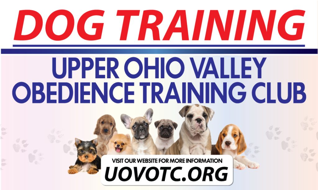 Valley 2024 dog training